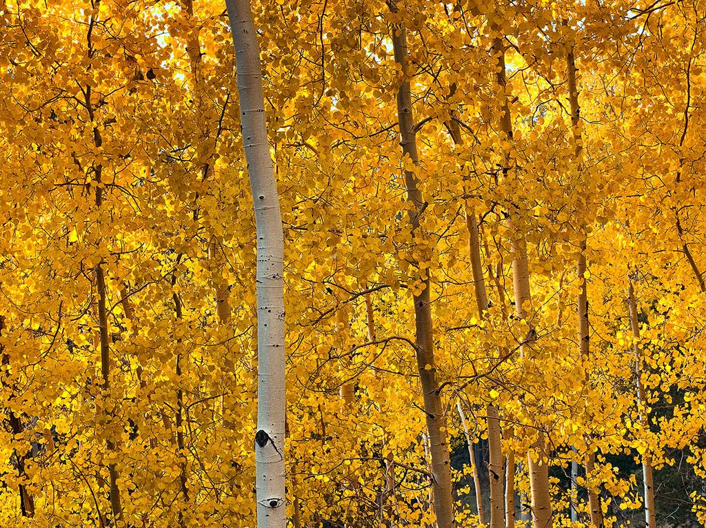 Aspen, USA travel destination - best times to visit