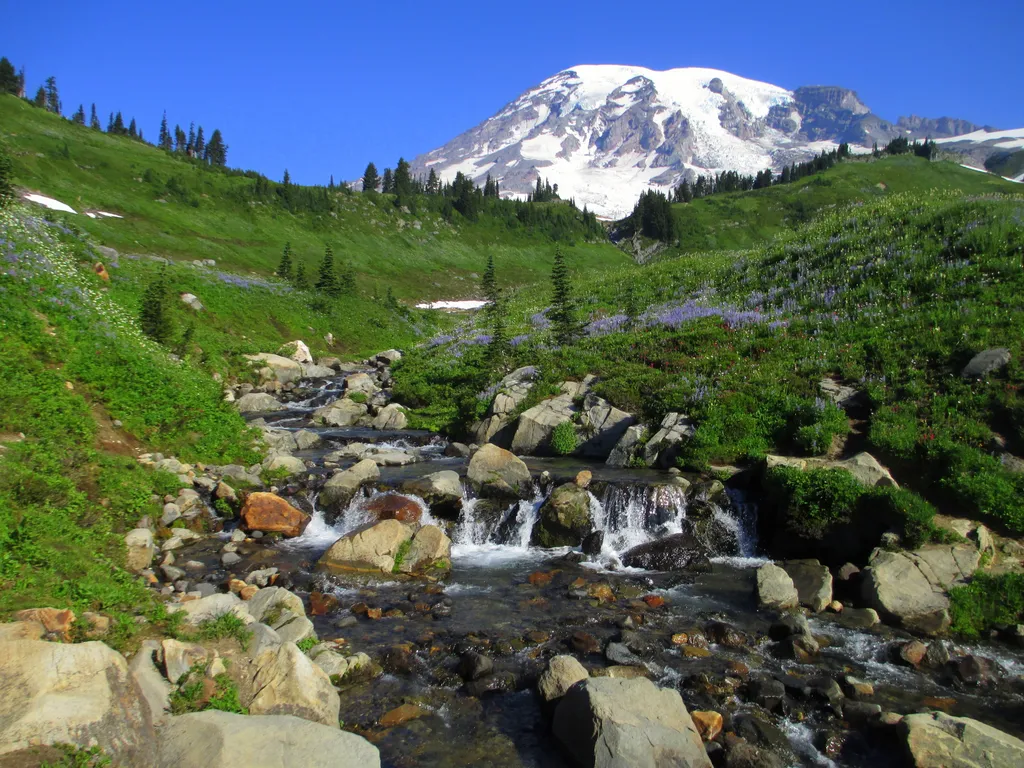 Mount Rainier National Park, USA travel destination - best times to visit