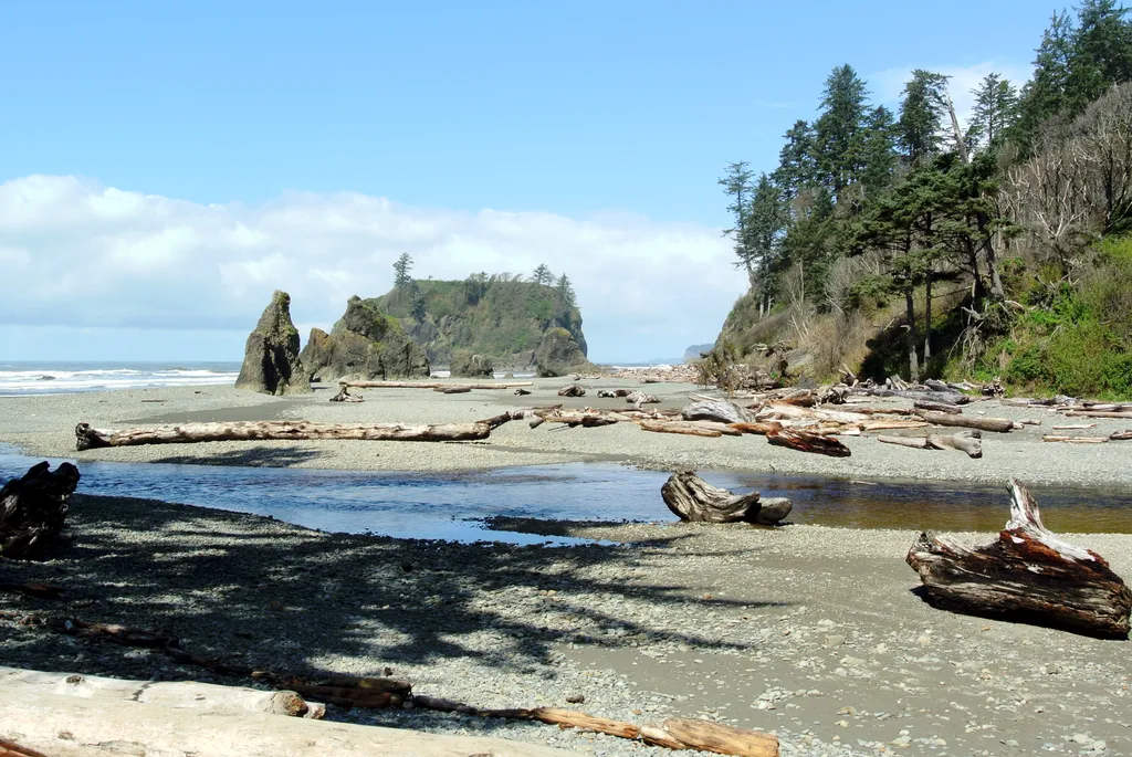 Olympic National Park, USA travel destination - best times to visit